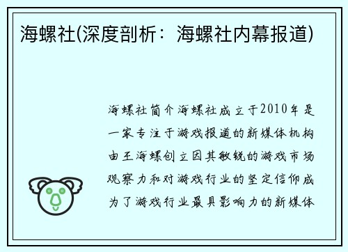 海螺社(深度剖析：海螺社内幕报道)